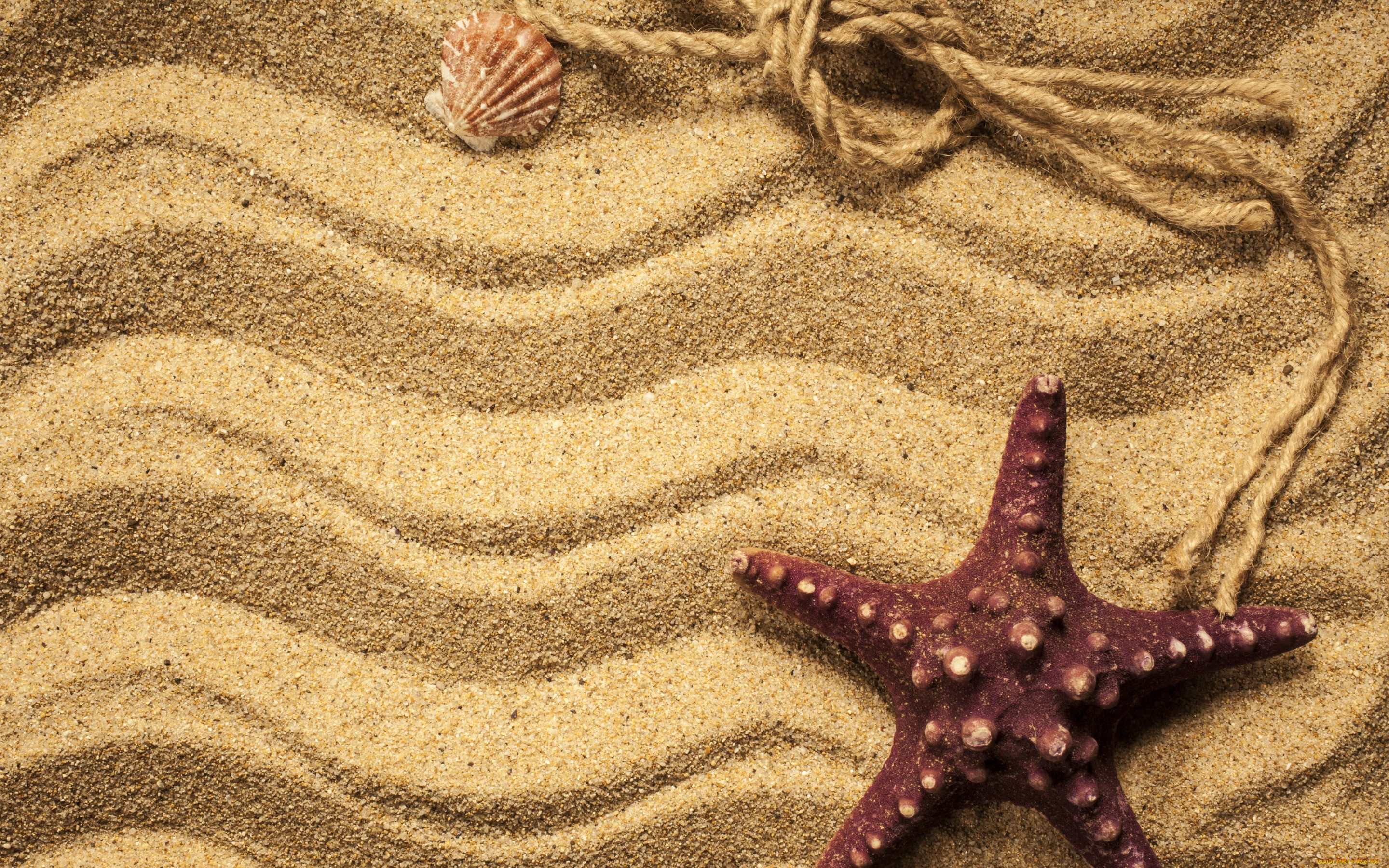 , ,  ,    spa-, beach, texture, sand, , starfish, marine, , 